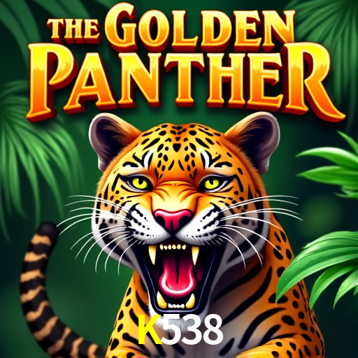 K538